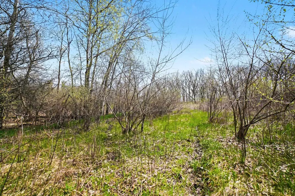 Crystal Road Richland Township, MI 48891