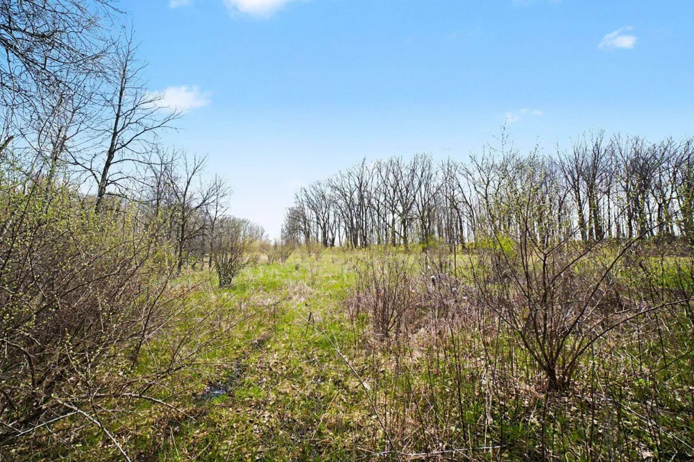 Crystal Road Richland Township, MI 48891