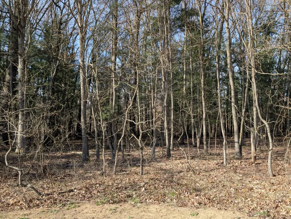 2032 S Mill Iron Road Muskegon Charter Township, MI 49442