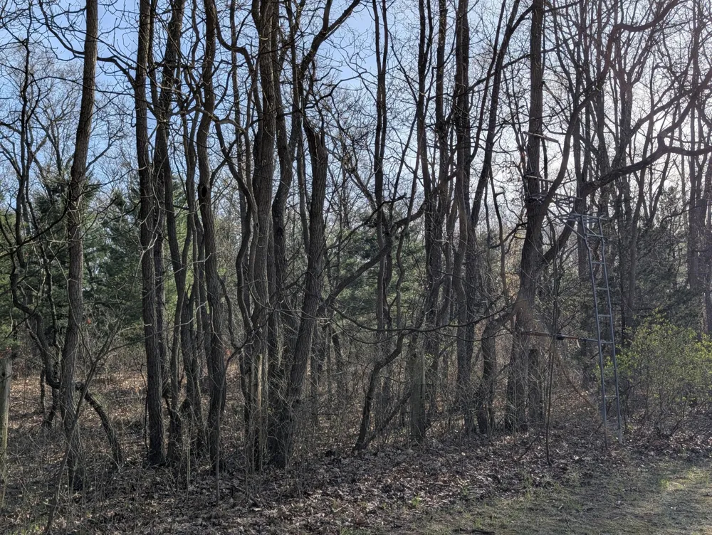2032 S Mill Iron Road Muskegon Charter Township, MI 49442