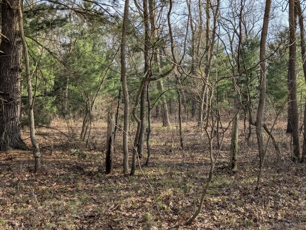2032 S Mill Iron Road Muskegon Charter Township, MI 49442