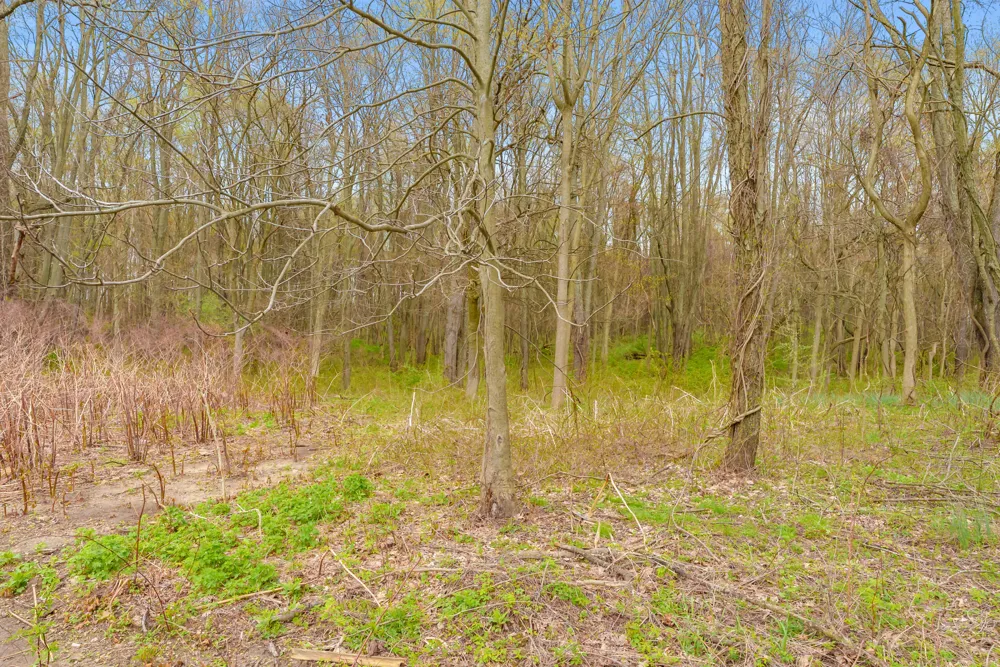 135 Golfview Drive Gun Plain Township, MI 49080
