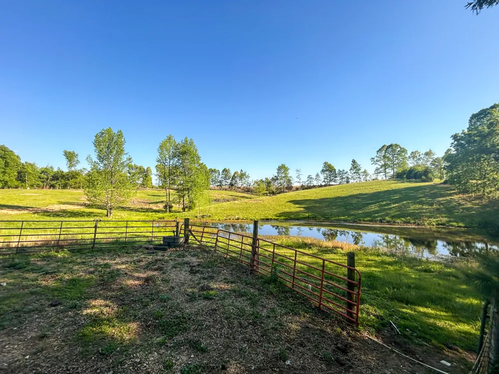 1185 Blackburn Rd Mc Kenzie, TN 38201