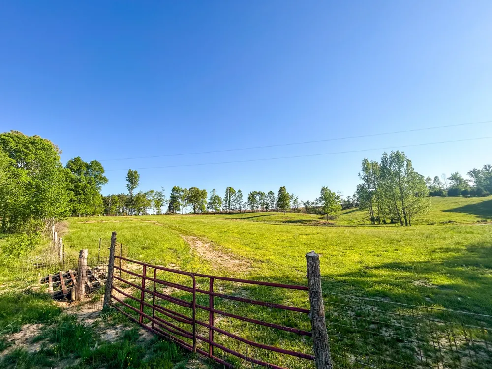 1185 Blackburn Rd Mc Kenzie, TN 38201