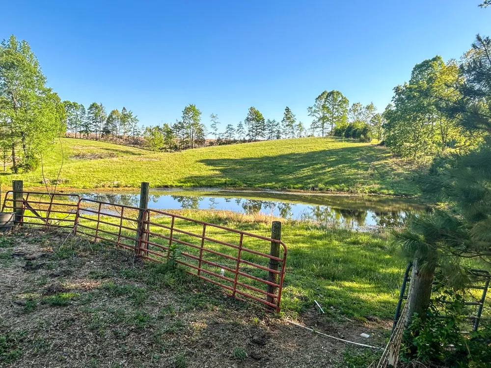 1185 Blackburn Rd Mc Kenzie, TN 38201