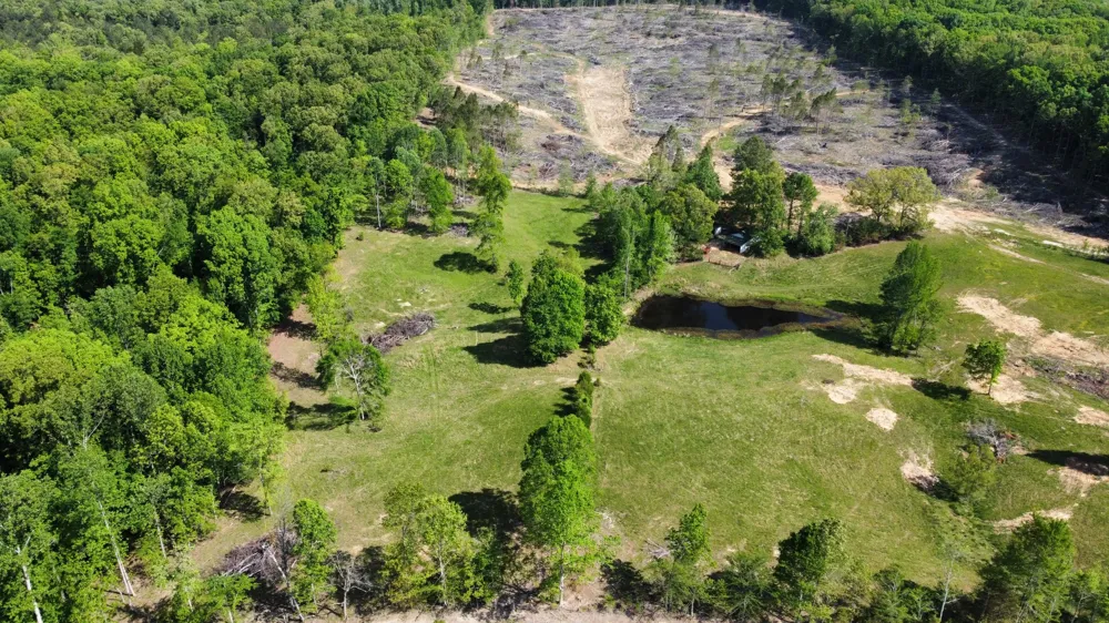 1185 Blackburn Rd Mc Kenzie, TN 38201