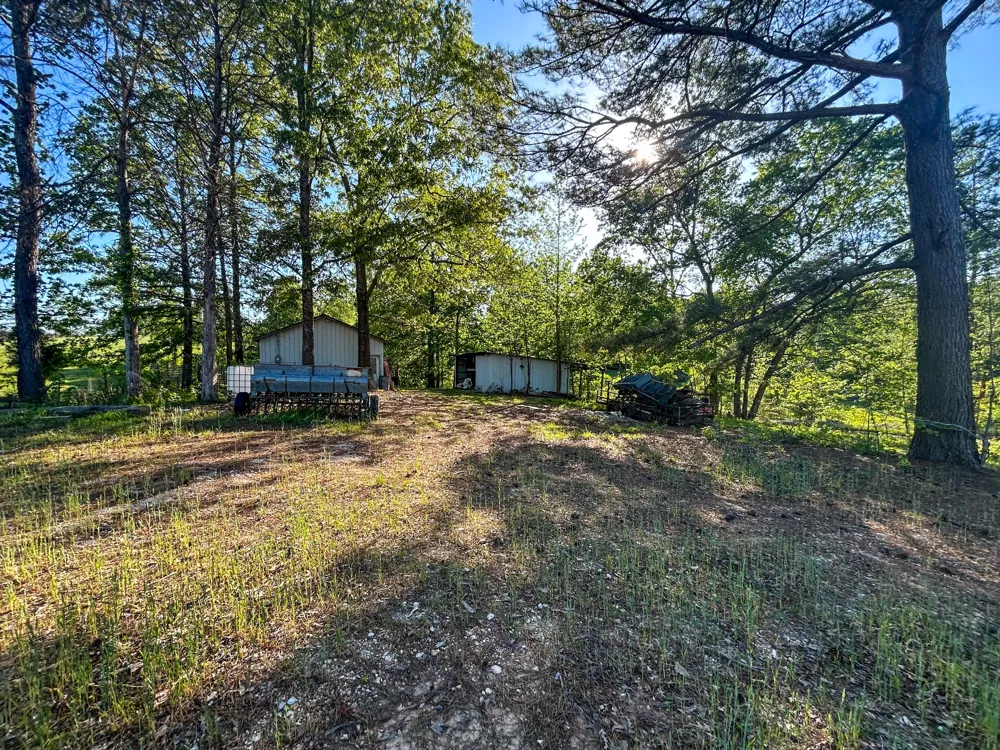 1185 Blackburn Rd Mc Kenzie, TN 38201