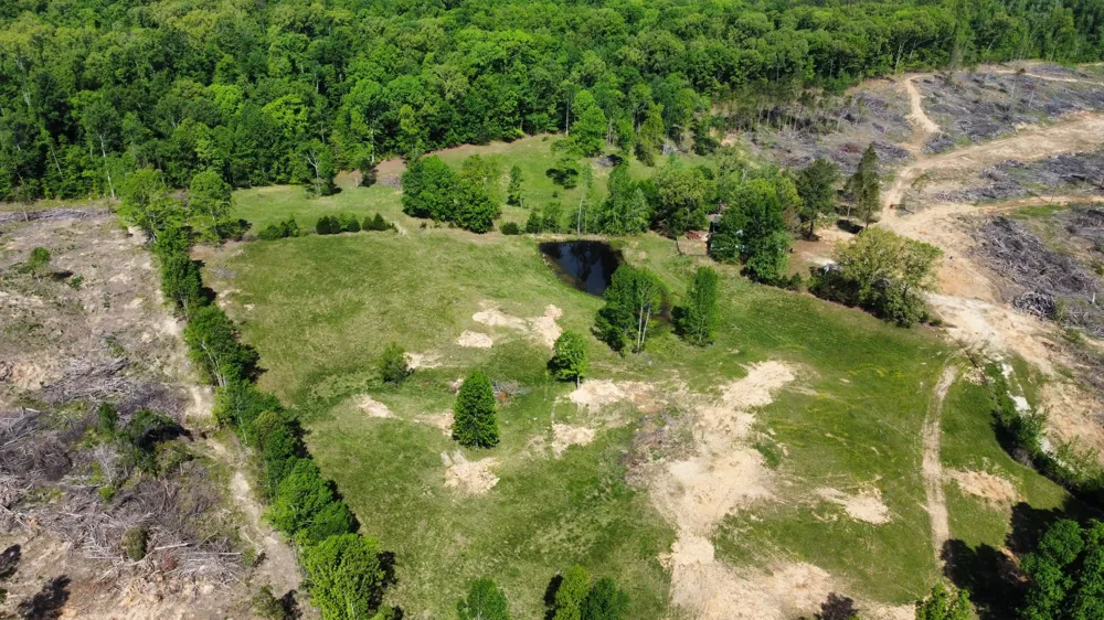 1185 Blackburn Rd Mc Kenzie, TN 38201