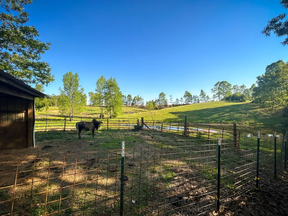 1185 Blackburn Rd Mc Kenzie, TN 38201