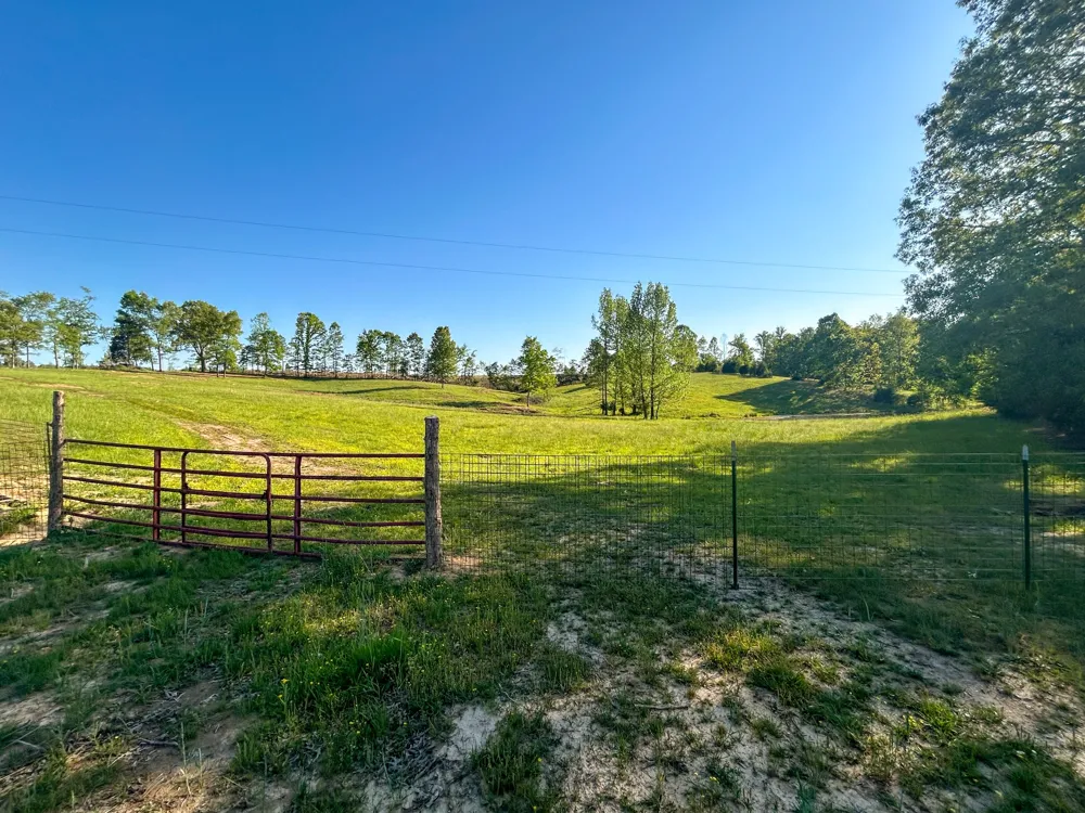 1185 Blackburn Rd Mc Kenzie, TN 38201