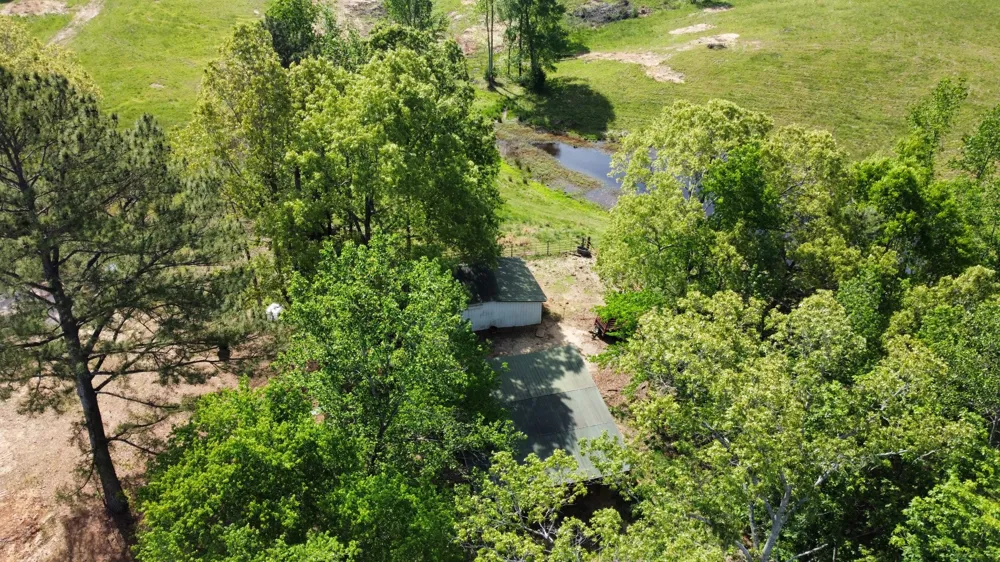 1185 Blackburn Rd Mc Kenzie, TN 38201