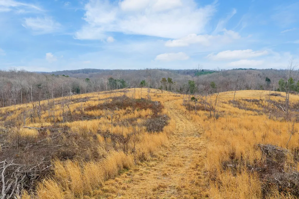 0 Flatwoods Road Camden, TN 38320
