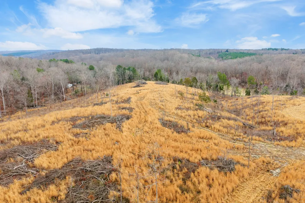 0 Flatwoods Road Camden, TN 38320