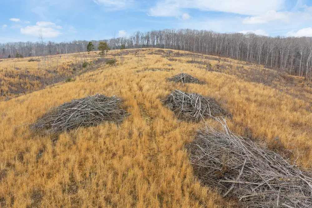 0 Flatwoods Road Camden, TN 38320
