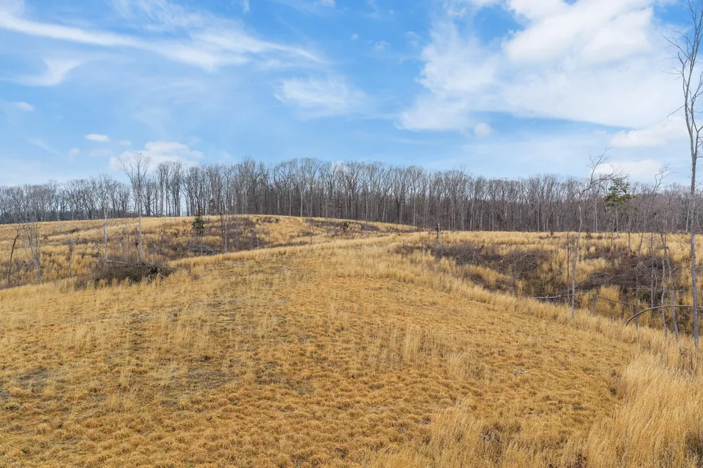 0 Flatwoods Road Camden, TN 38320