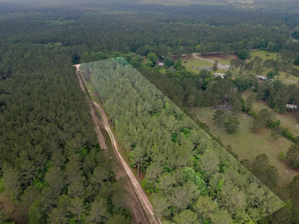 County Line Rd Road Shepherd, TX 77371