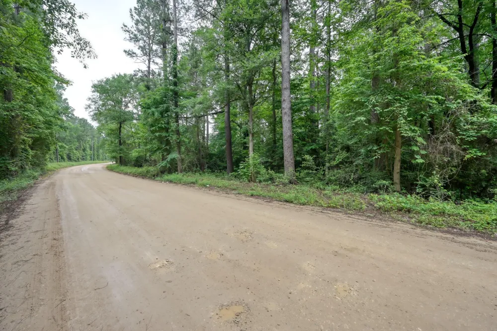 County Line Rd Road Shepherd, TX 77371