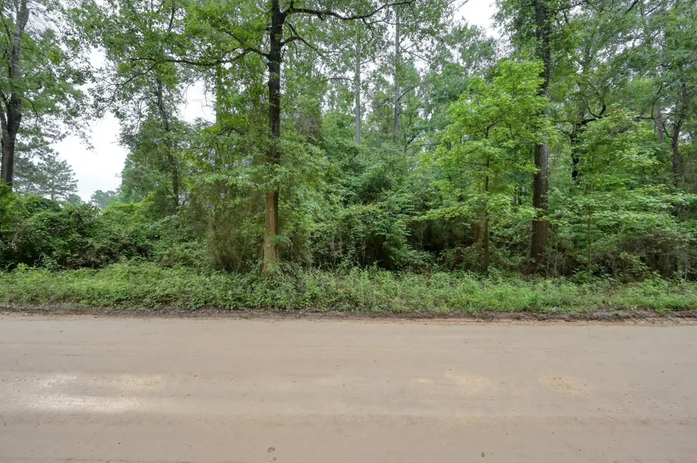 County Line Rd Road Shepherd, TX 77371