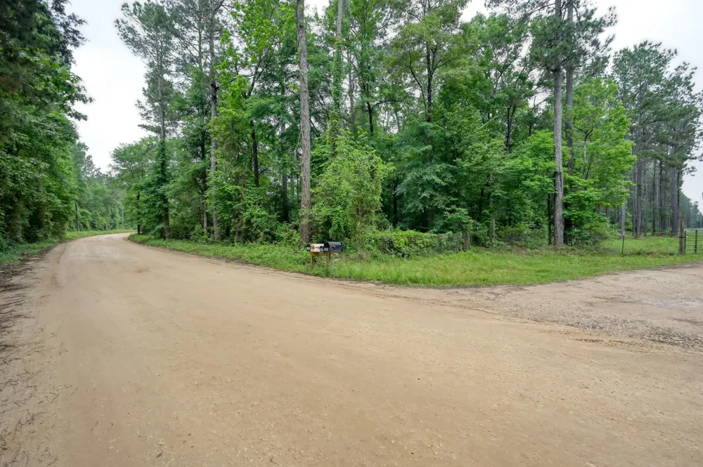 County Line Rd Road Shepherd, TX 77371