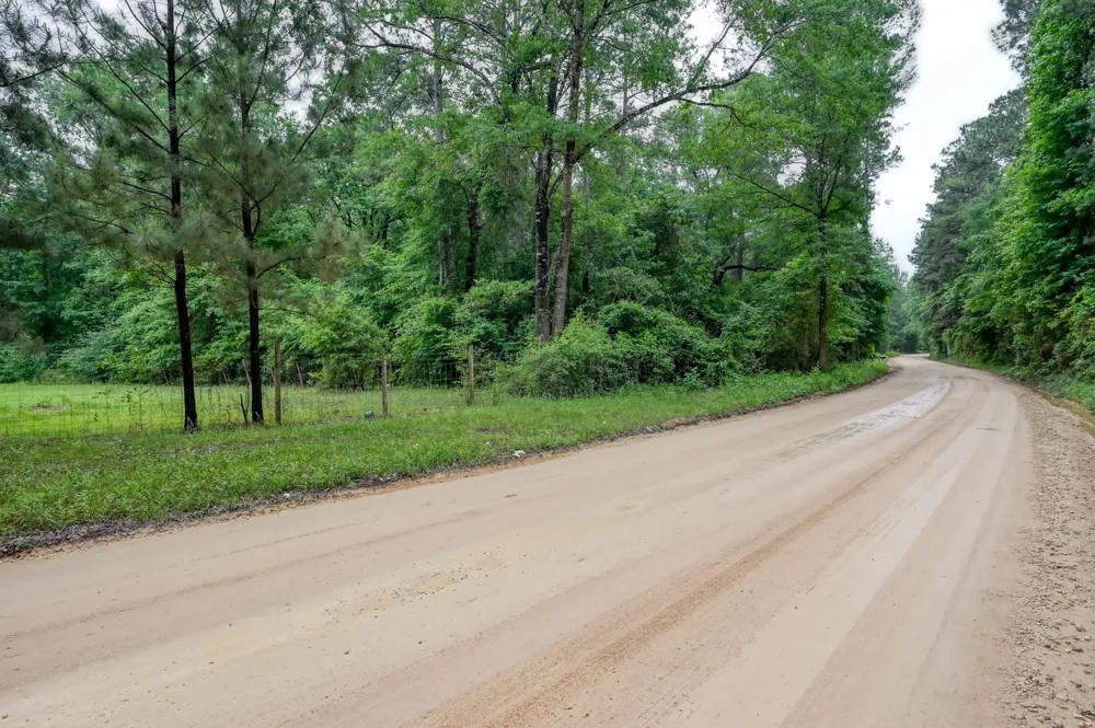 County Line Rd Road Shepherd, TX 77371