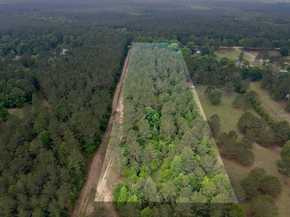 County Line Rd Road Shepherd, TX 77371
