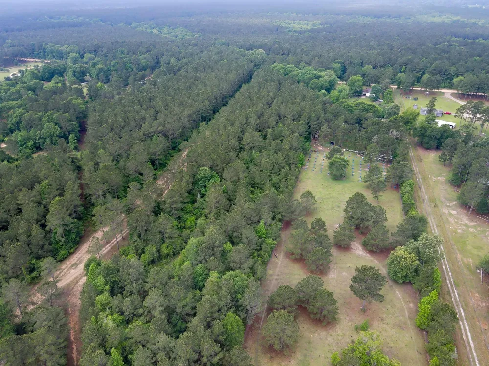County Line Rd Road Shepherd, TX 77371