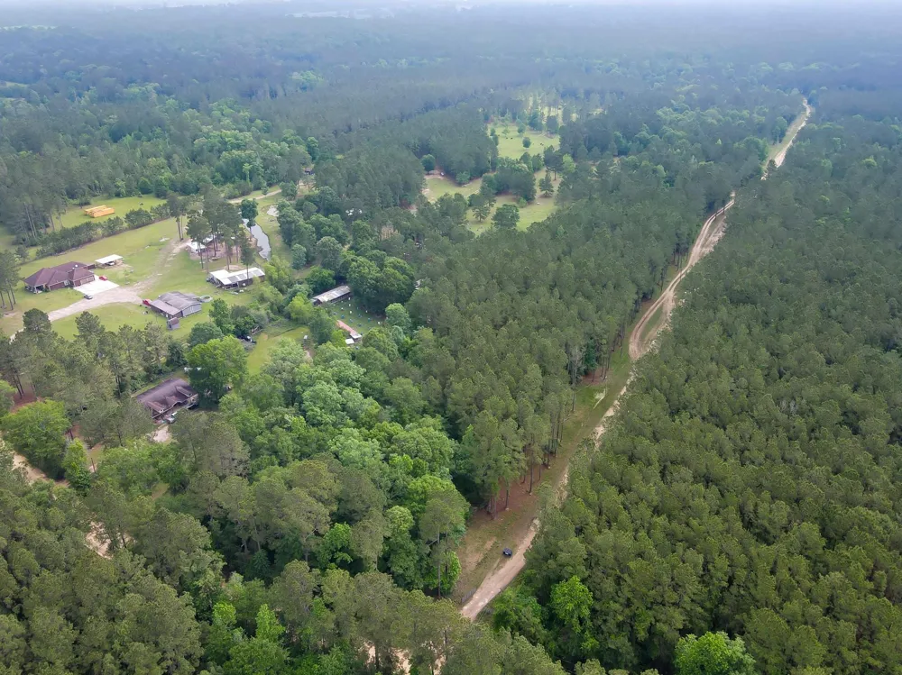County Line Rd Road Shepherd, TX 77371