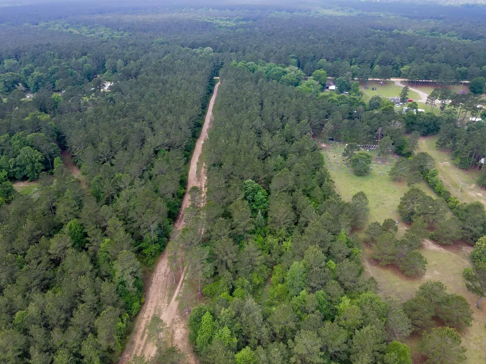 County Line Rd Road Shepherd, TX 77371