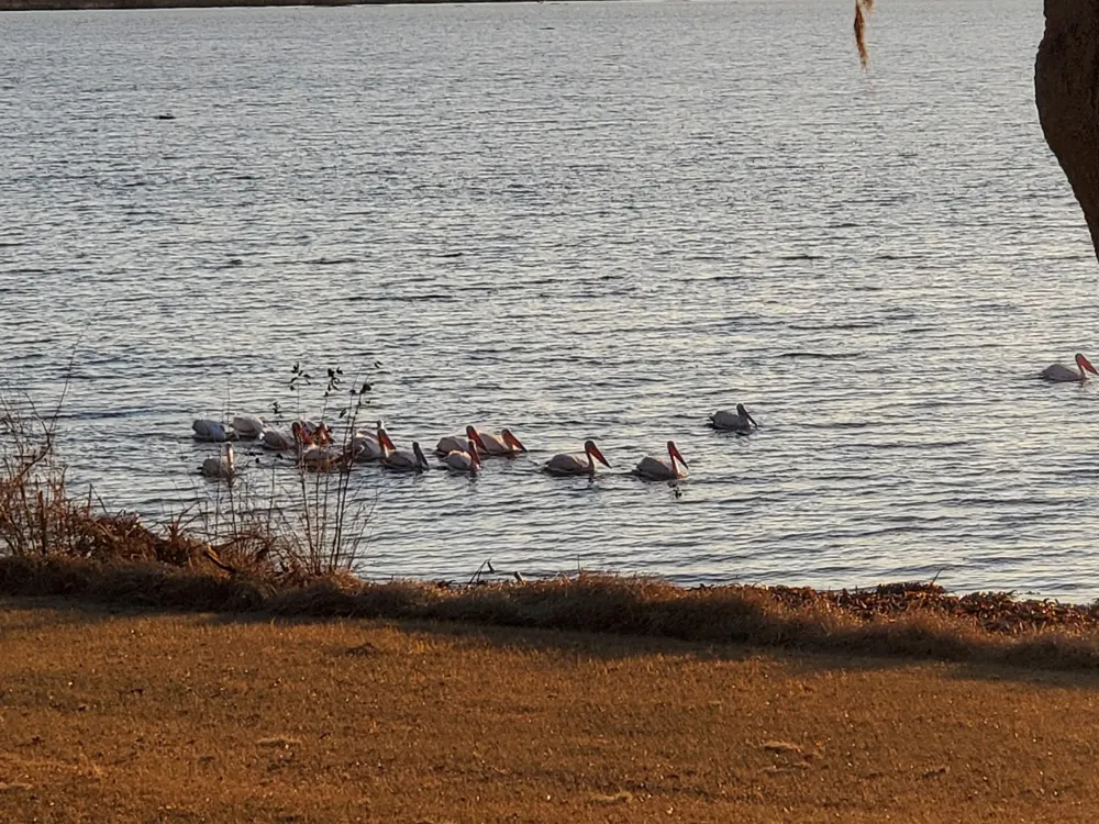 1013 Quail Lane Eagle Lake, TX 77434