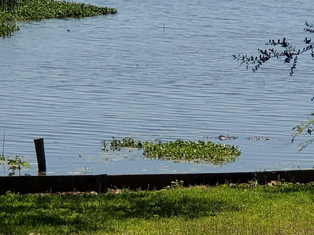 1013 Quail Lane Eagle Lake, TX 77434