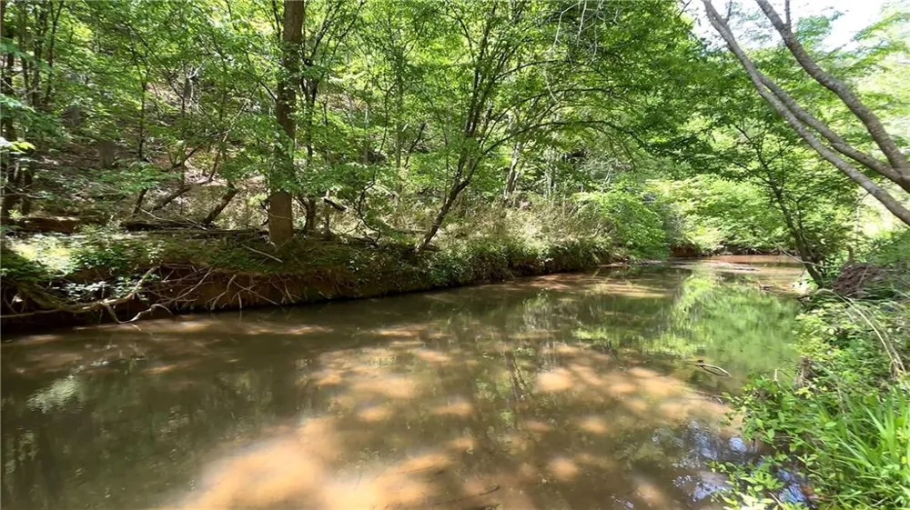 25 Mountain Creek Trail NE Fairmount, GA 30139