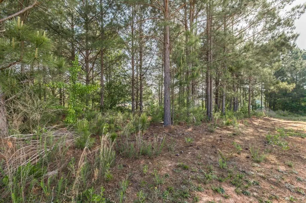 102 Clarks Court Jackson, GA 30233
