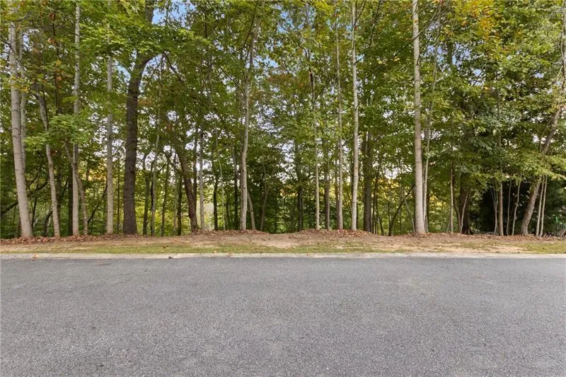 Lot 4 Fredericks Cv Dawsonville, GA 30534
