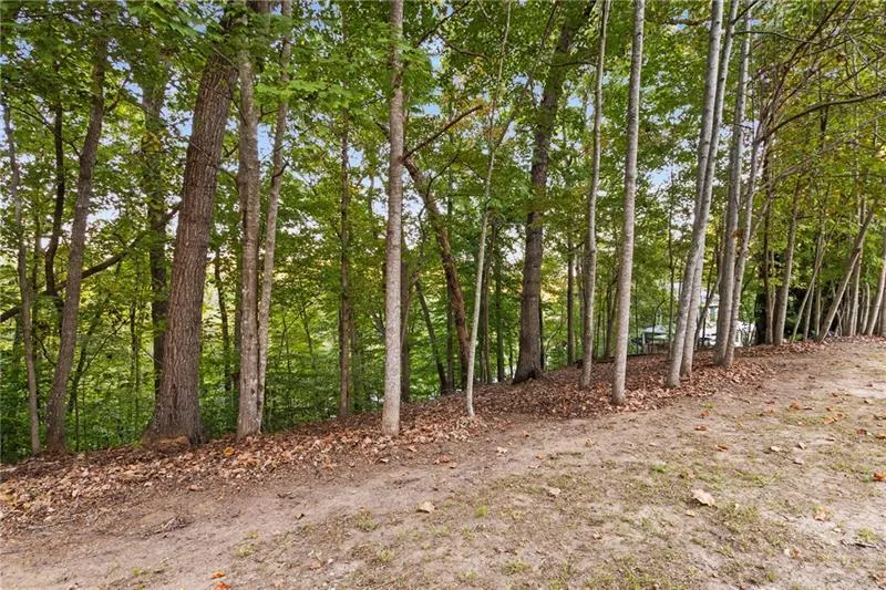 Lot 4 Fredericks Cv Dawsonville, GA 30534