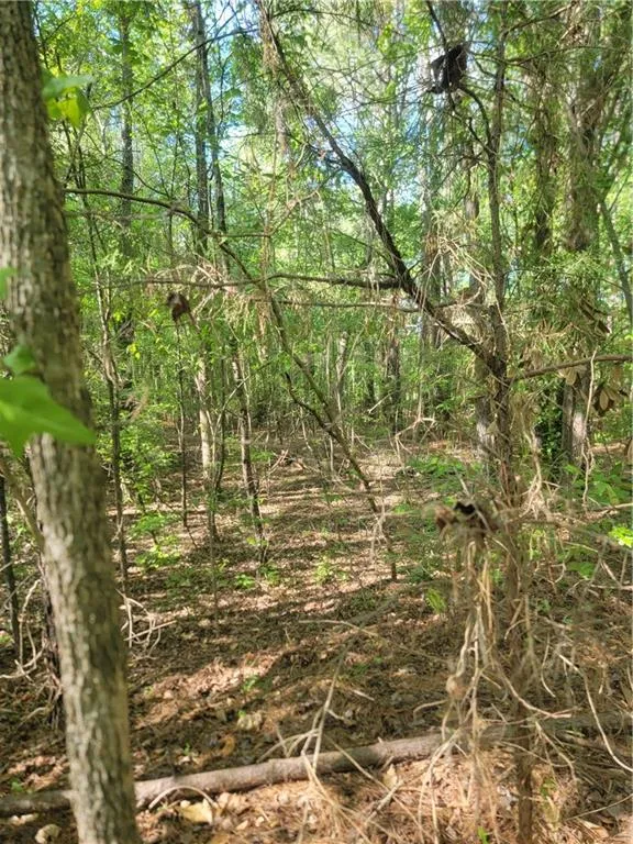 0 North Creek Trail Villa Rica, GA 30180