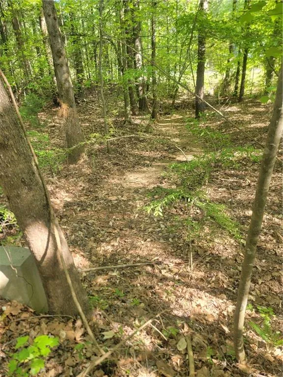0 North Creek Trail Villa Rica, GA 30180