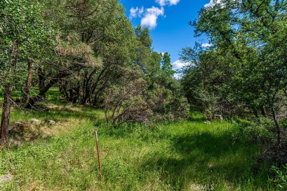W Sandra Lane Oroville, CA 95966