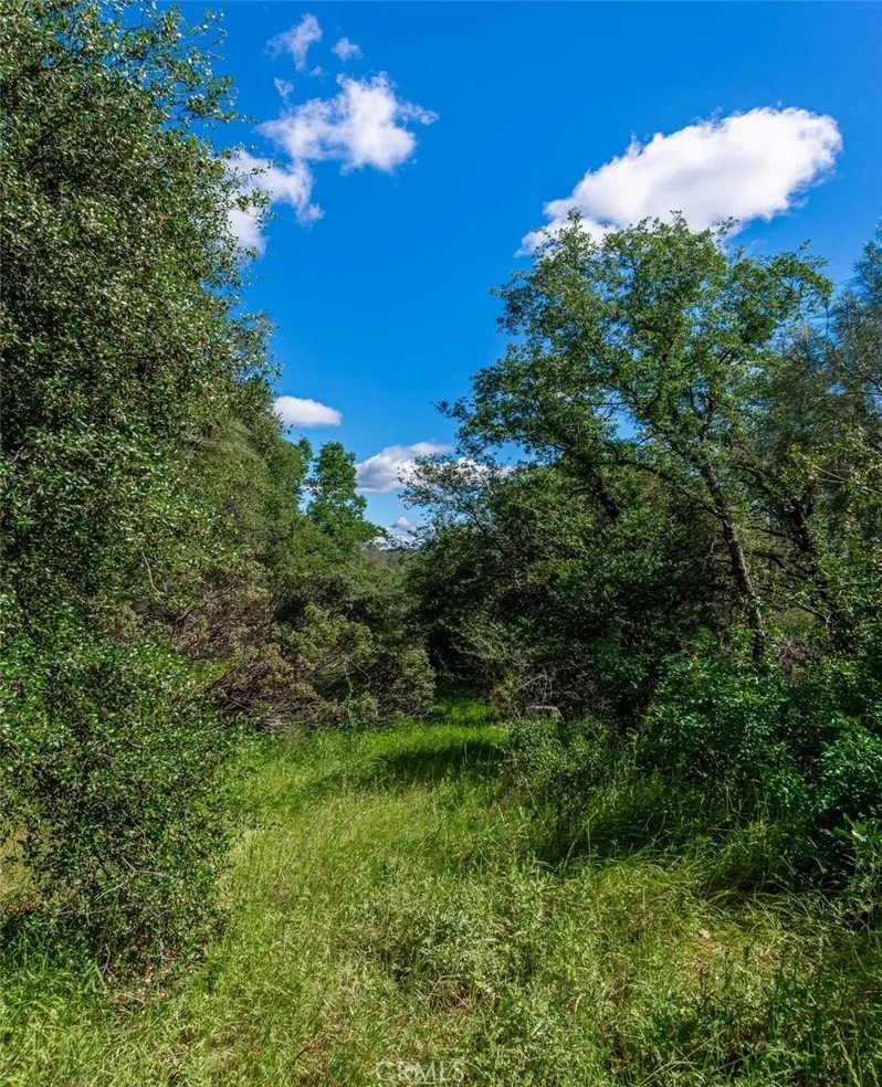 W Sandra Lane Oroville, CA 95966