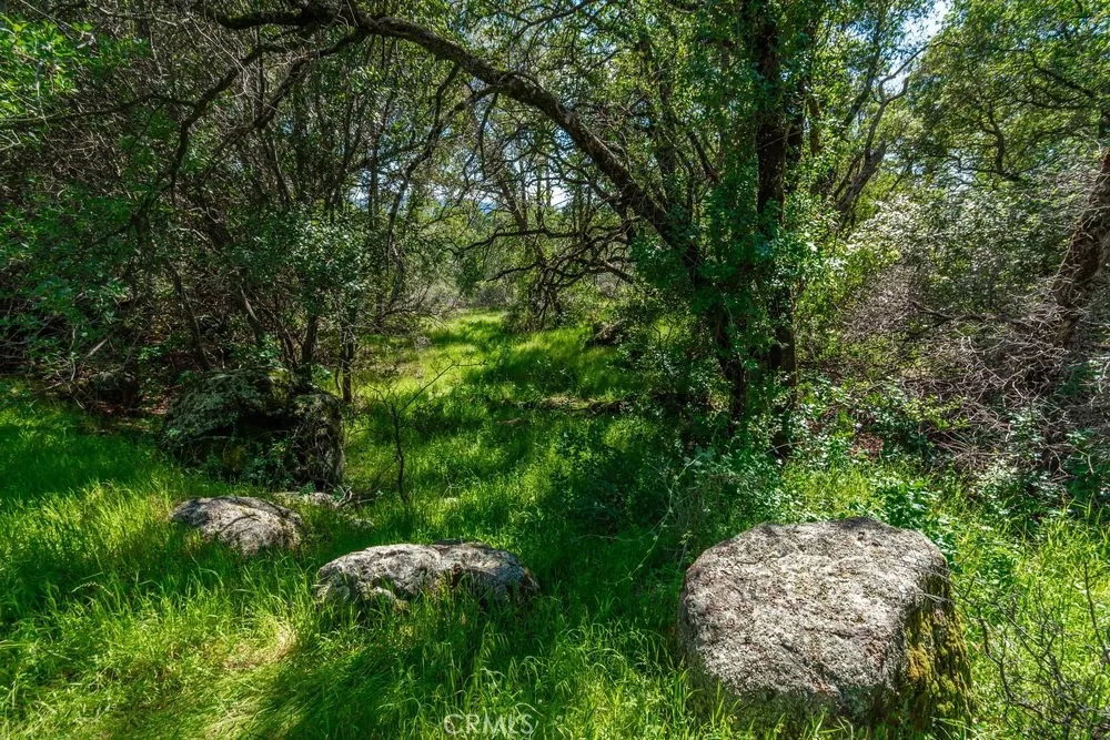 W Sandra Lane Oroville, CA 95966