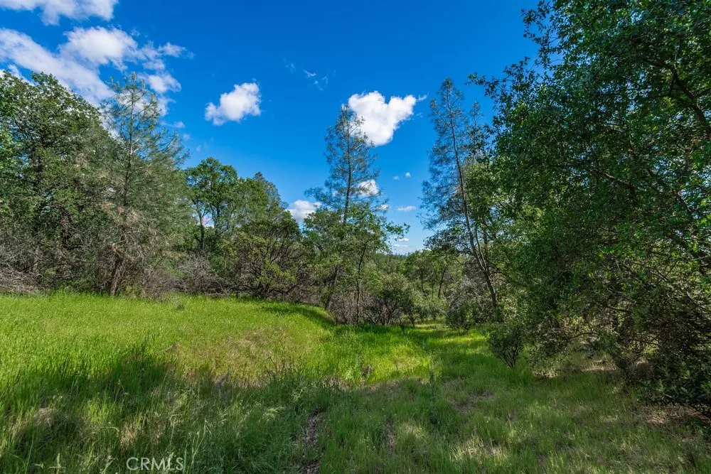 W Sandra Lane Oroville, CA 95966