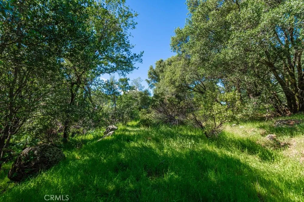 W Sandra Lane Oroville, CA 95966