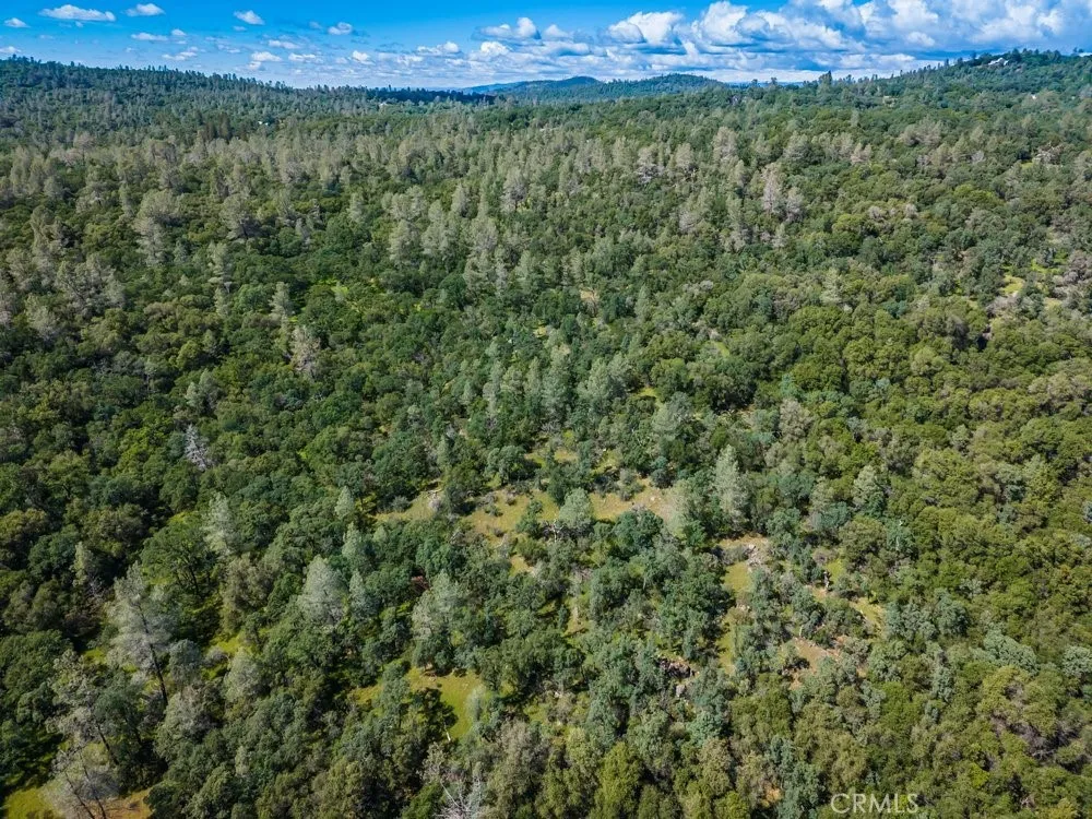 W Sandra Lane Oroville, CA 95966