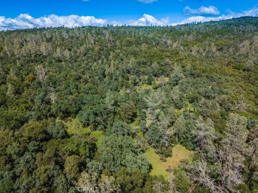W Sandra Lane Oroville, CA 95966
