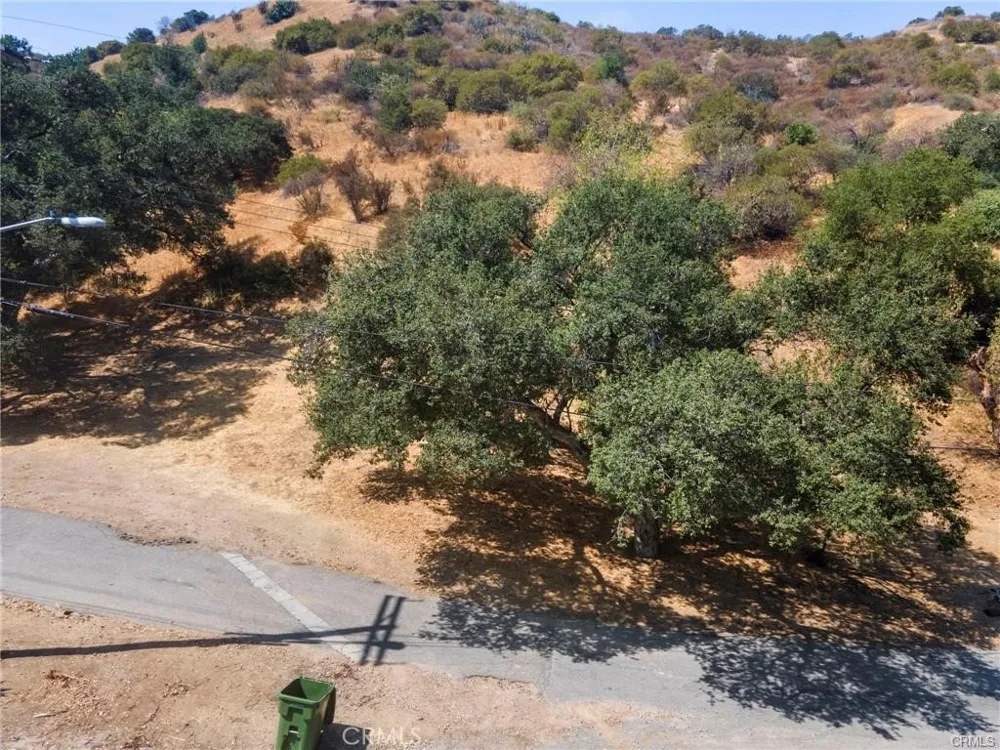 Wornom Avenue Sunland, CA 91040