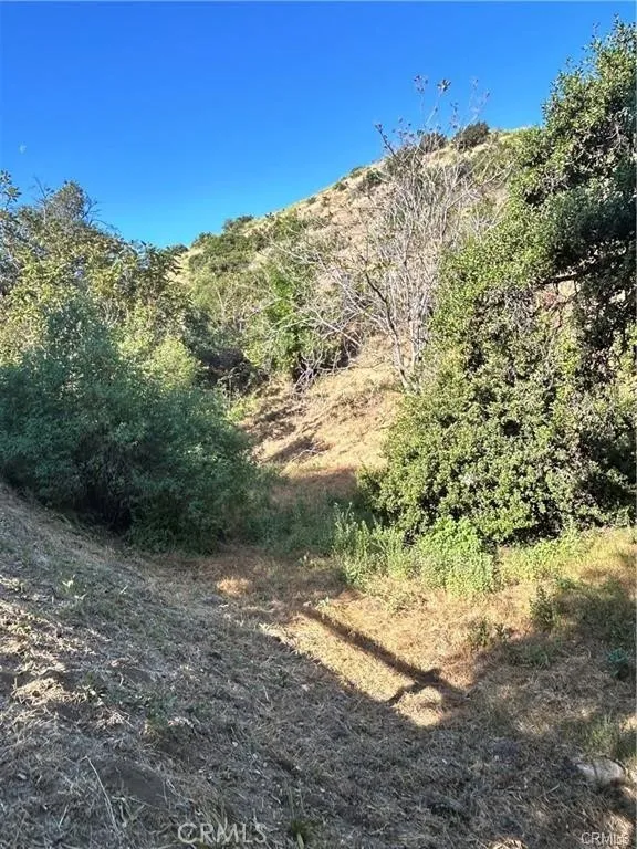 Wornom Avenue Sunland, CA 91040