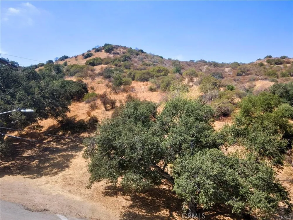 Wornom Avenue Sunland, CA 91040