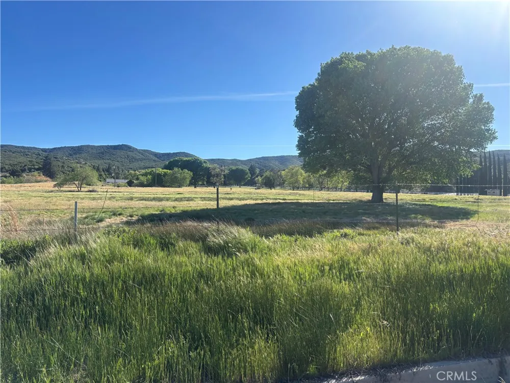 Kiptree Lake Hughes, CA 93532