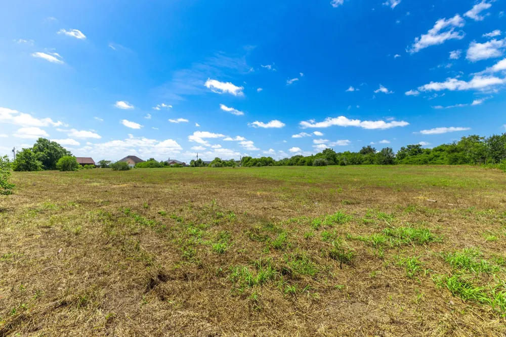 5815 Wild Flower Road Sealy, TX 77474