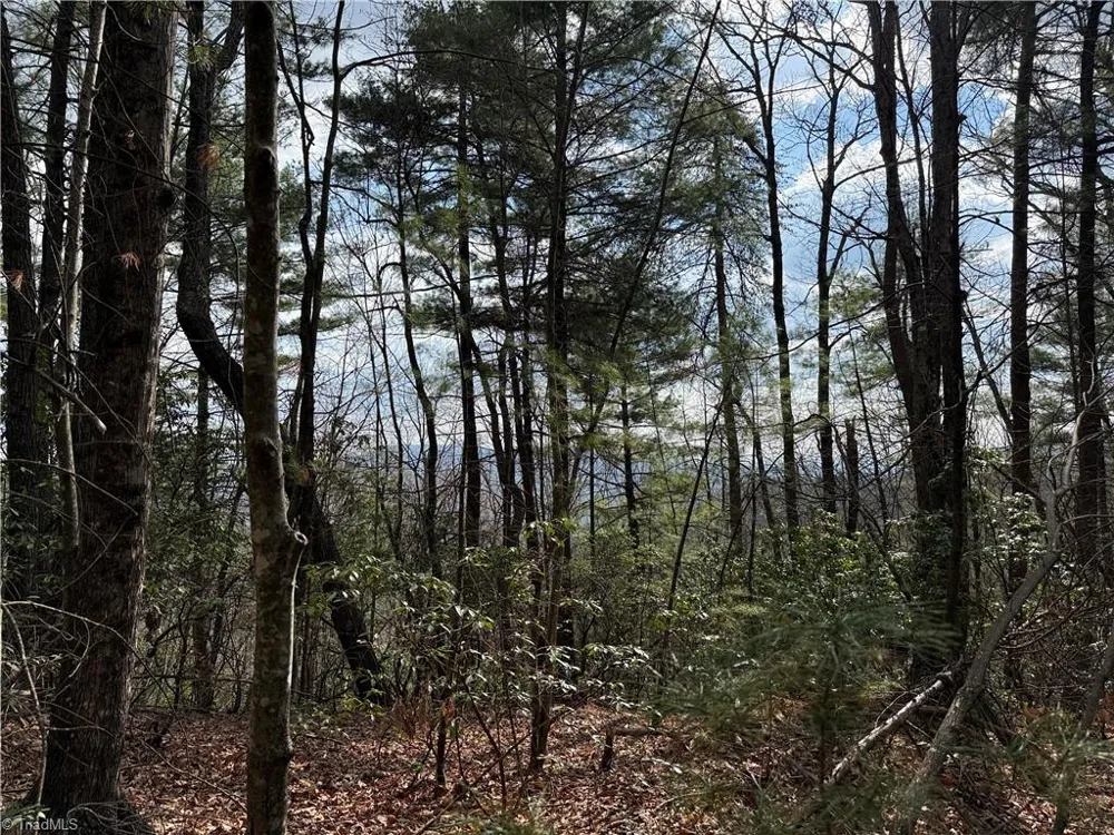 Lots 51 & 52A Staghorn Road Purlear, NC 28665