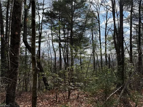 Lots 51 & 52A Staghorn Road